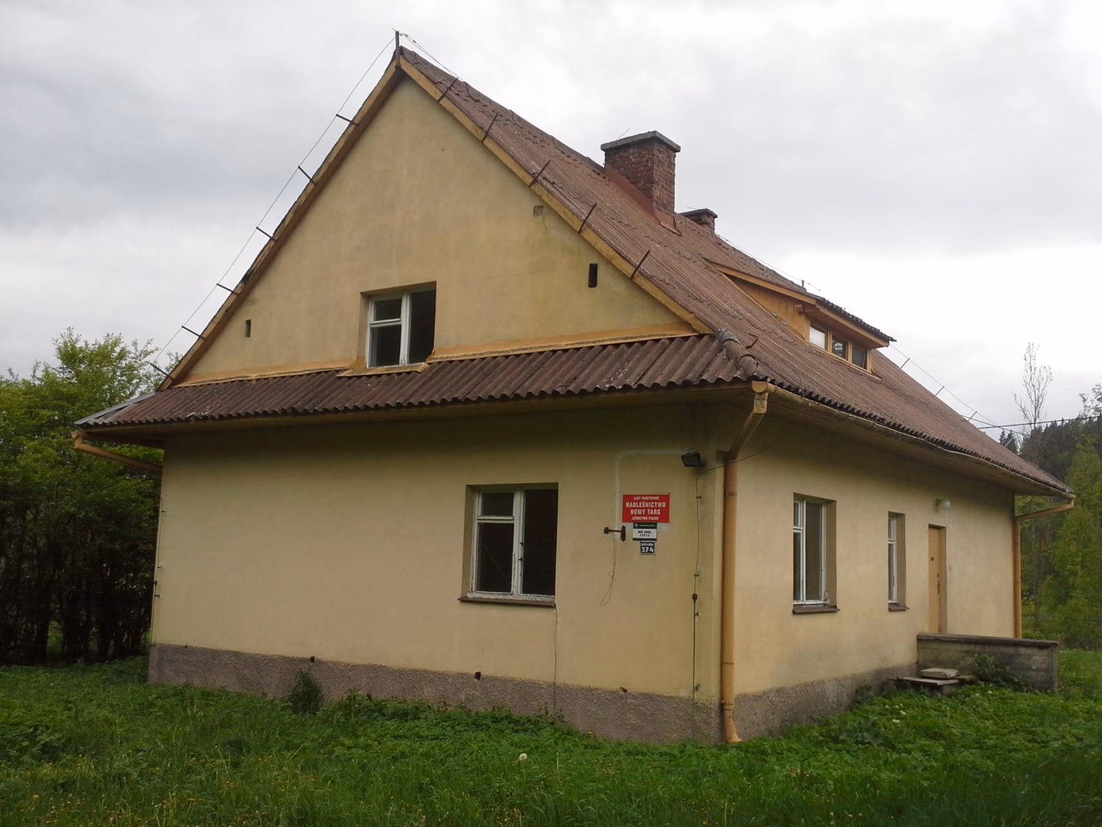 Czy można wydzierzawić działkę od Lasów Państwowych?